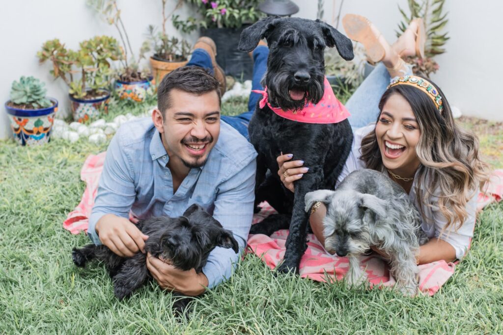 Two smiling people lying on the grass with three happy dogs outdoors