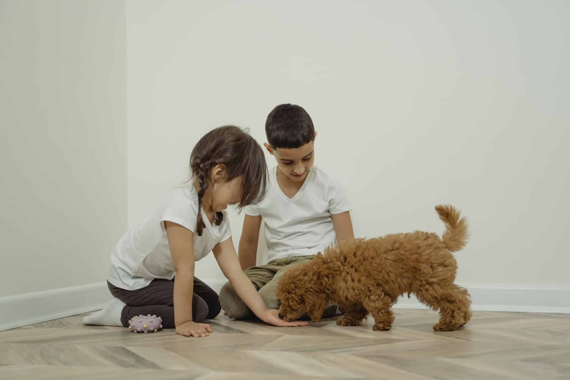 Training Your Kids To Be Dog Socializers