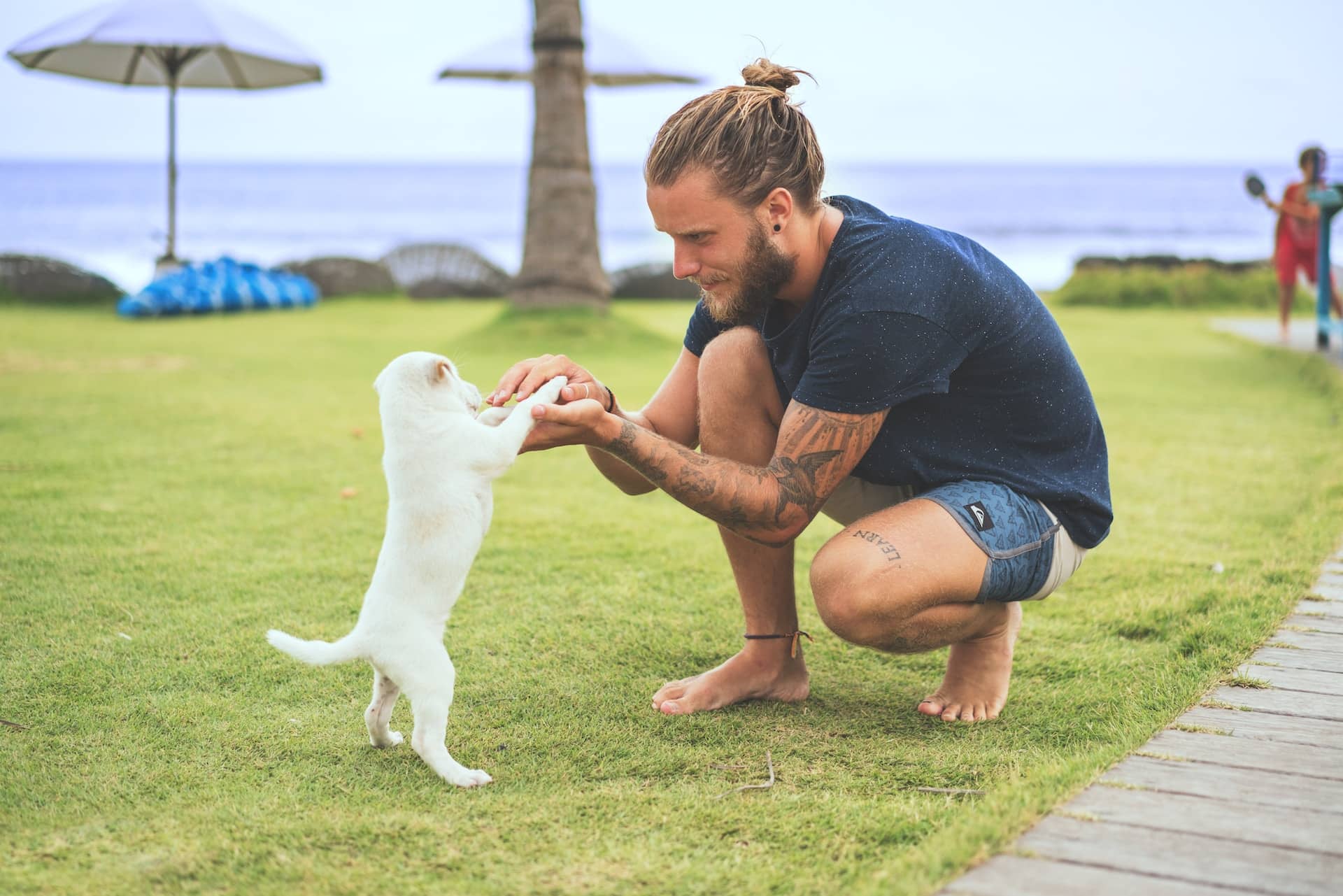 best dog training in houston tx 77066, Identifying Your Dog's Love Language, Puptown Houston