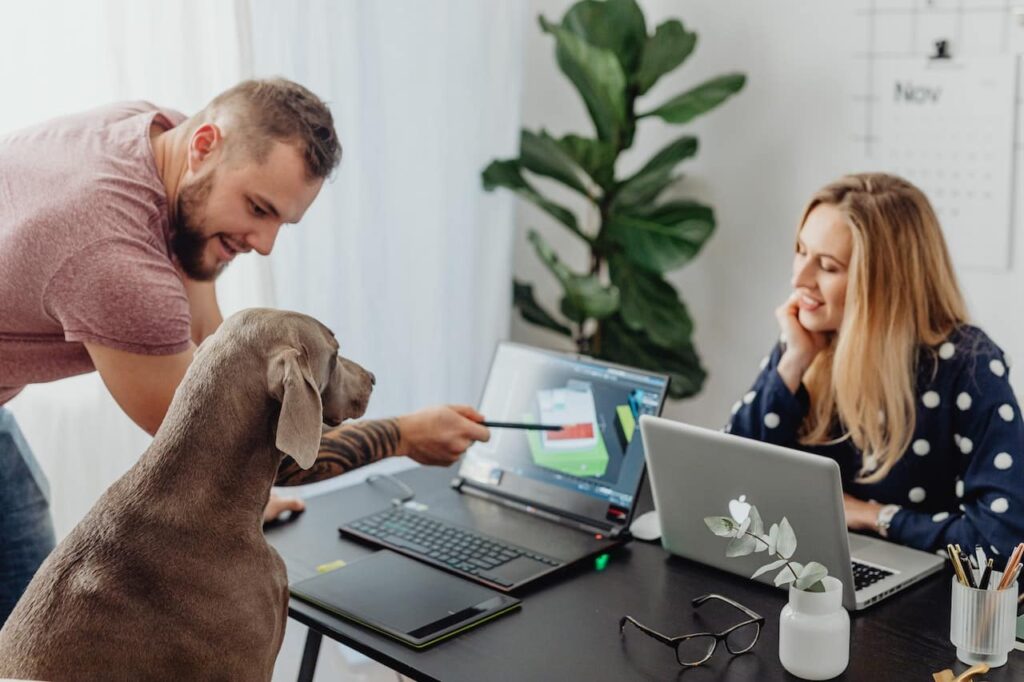 best dog training in houston tx 77066, What Happens When We Bring Our Dogs to Work, Puptown Houston