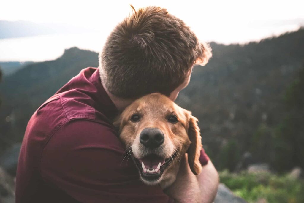 dog training houston, houston dog training
