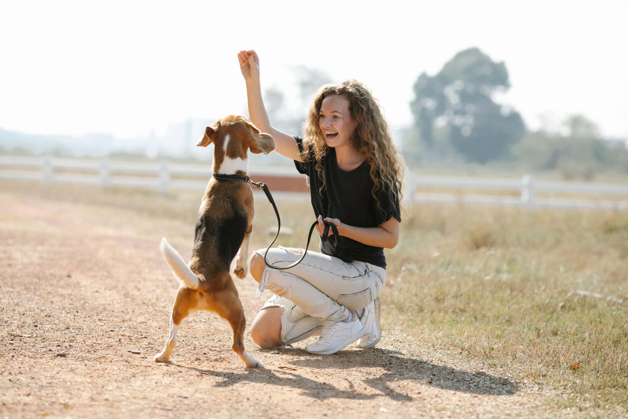 Mobile Dog Training Near Me: How to Pick the Right Trainer for Your Pup