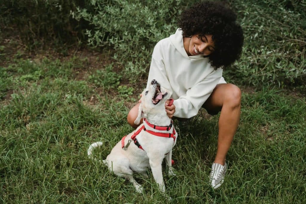 A woman petting a dog wearing a leash on a sit position