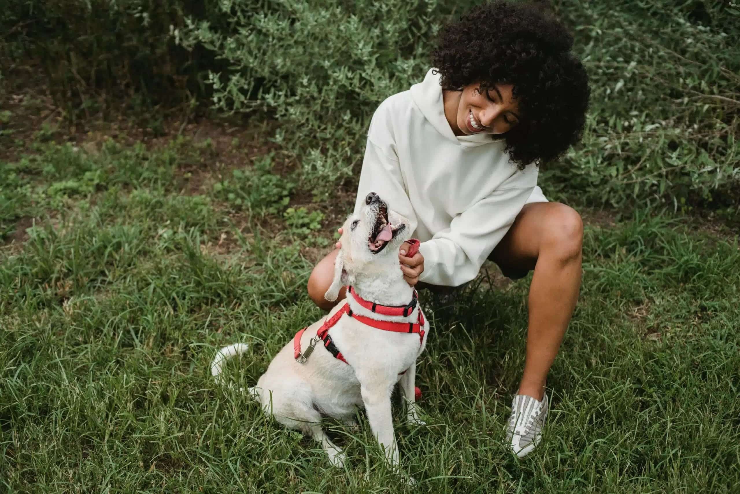 How Do You Praise Your Dog? Positive Reinforcement Tips